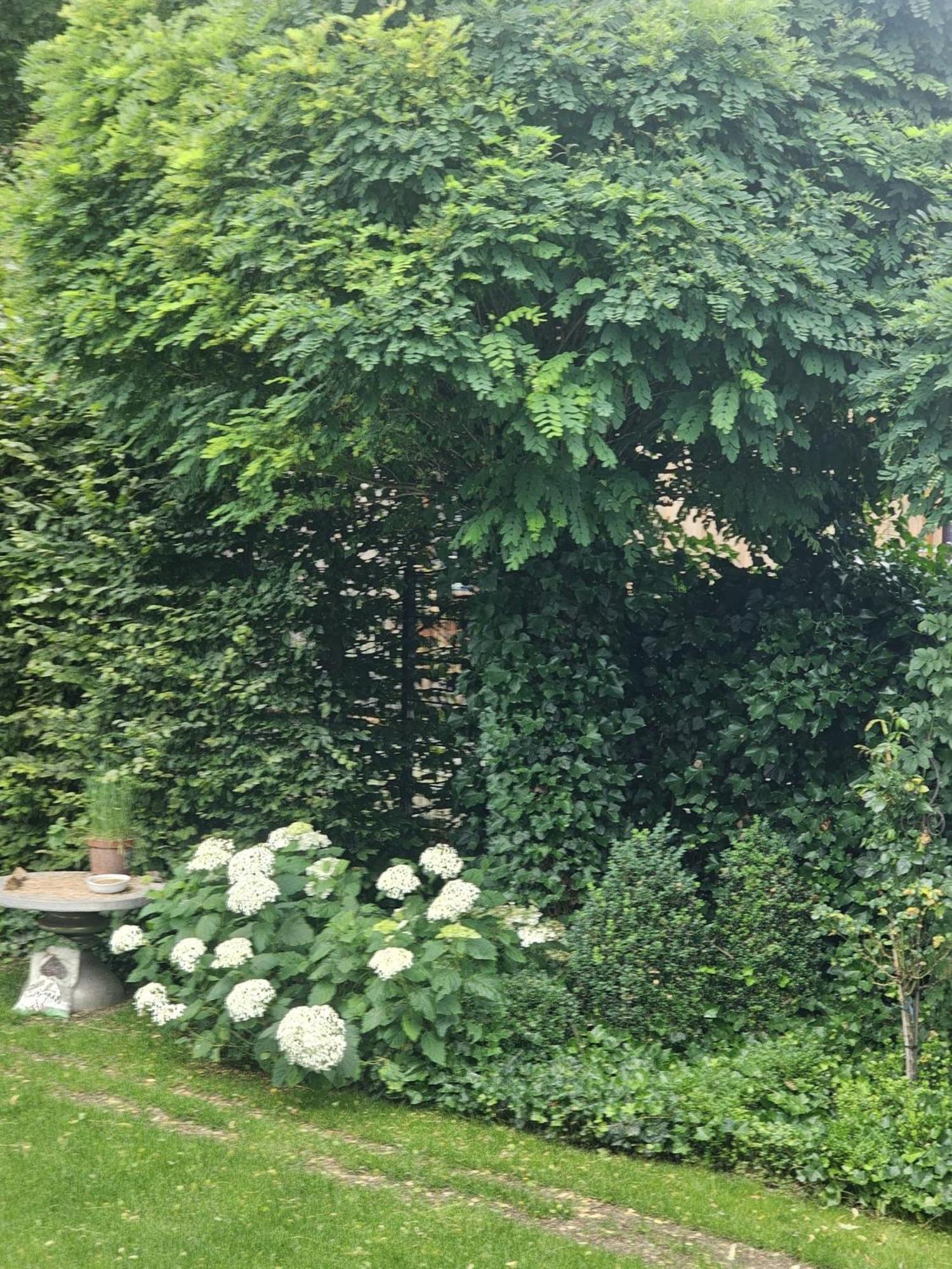 Gemuetliche Wohnung Mit Sauna Neumarkt in der Oberpfalz Esterno foto